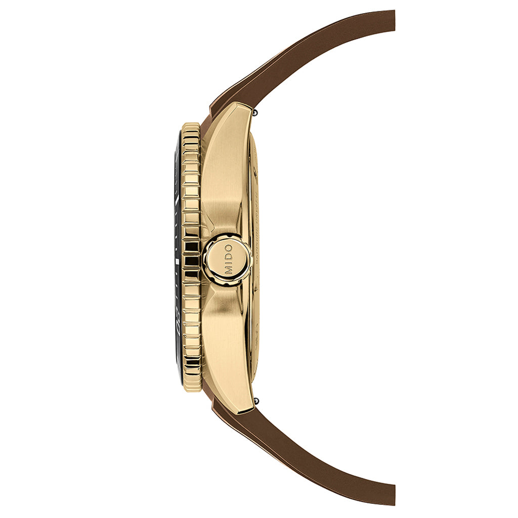 Ocean Star GMT 44 mm Brown
