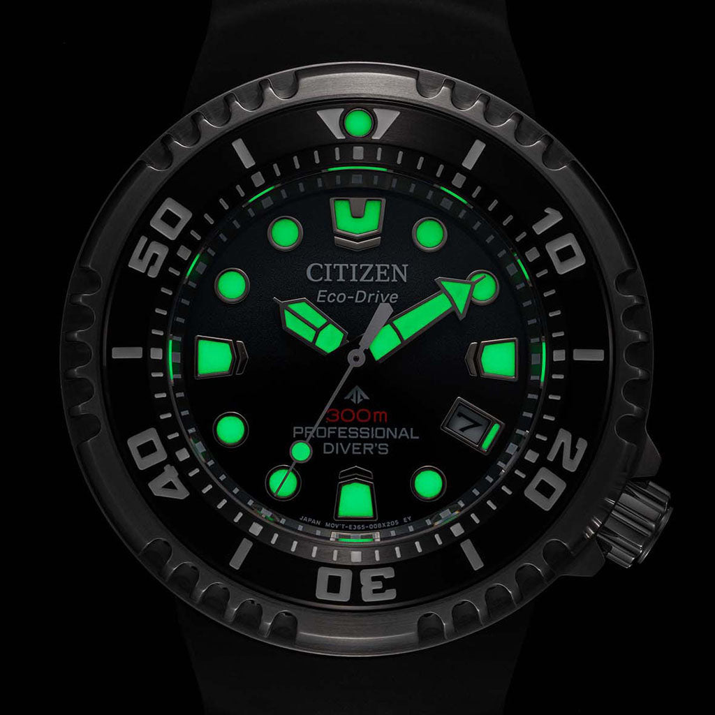 BN1024-01E Professional Diver 300