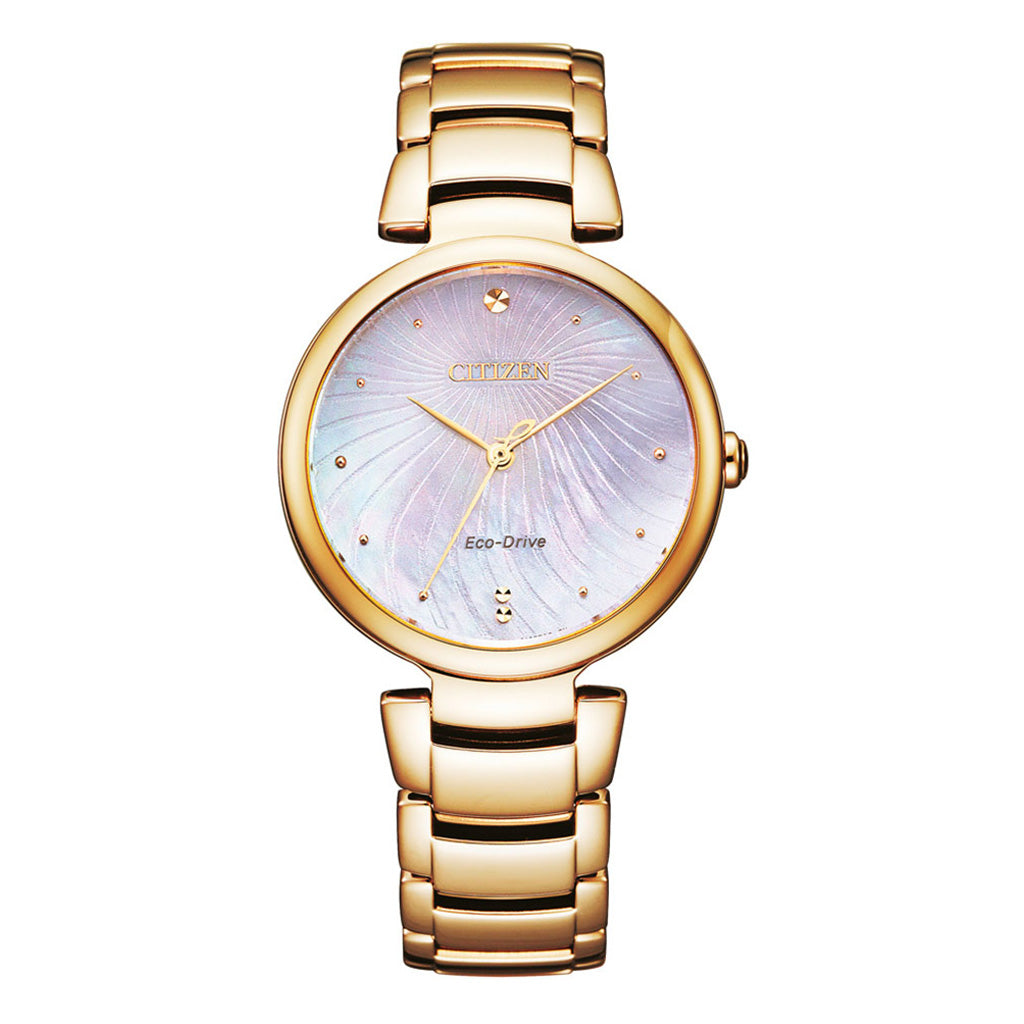EM0853-81Y