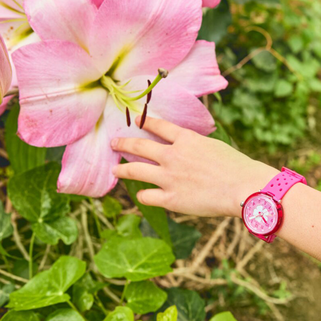 FIZZ IN HIBISCUS