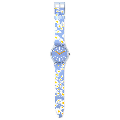 DAZED BY DAISIES