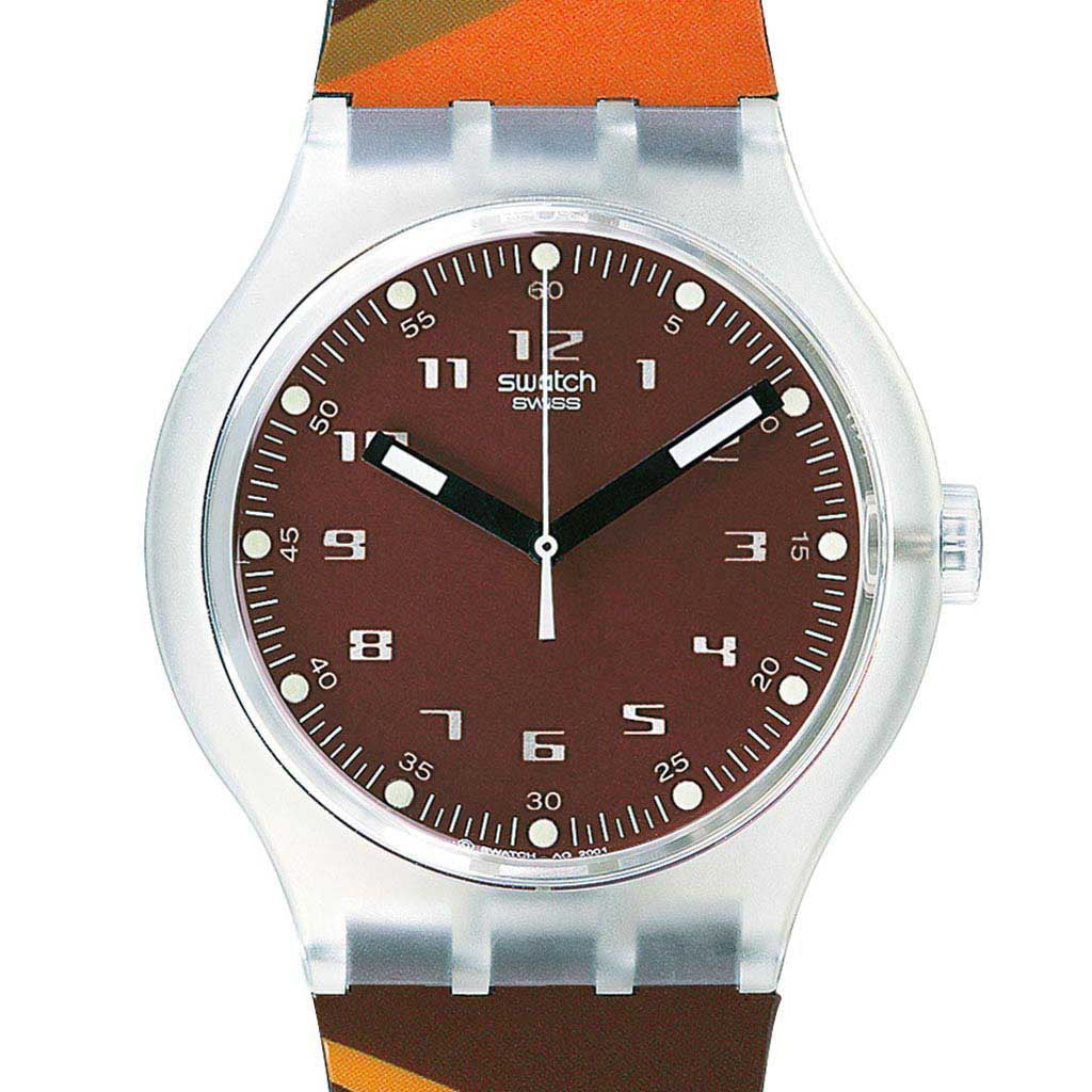 Swatch X-Large Foxtail Stripes SUDK100C