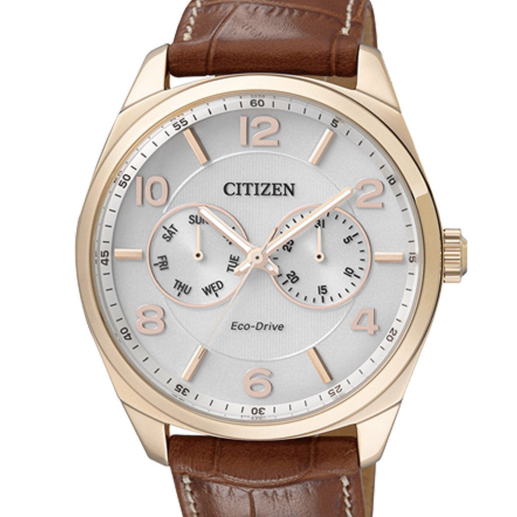 Citizen Elegant - Herrenuhr AO9024-16A