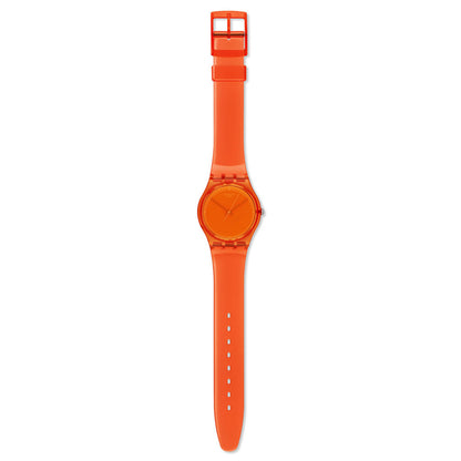 ORANGE ABRICOTIER