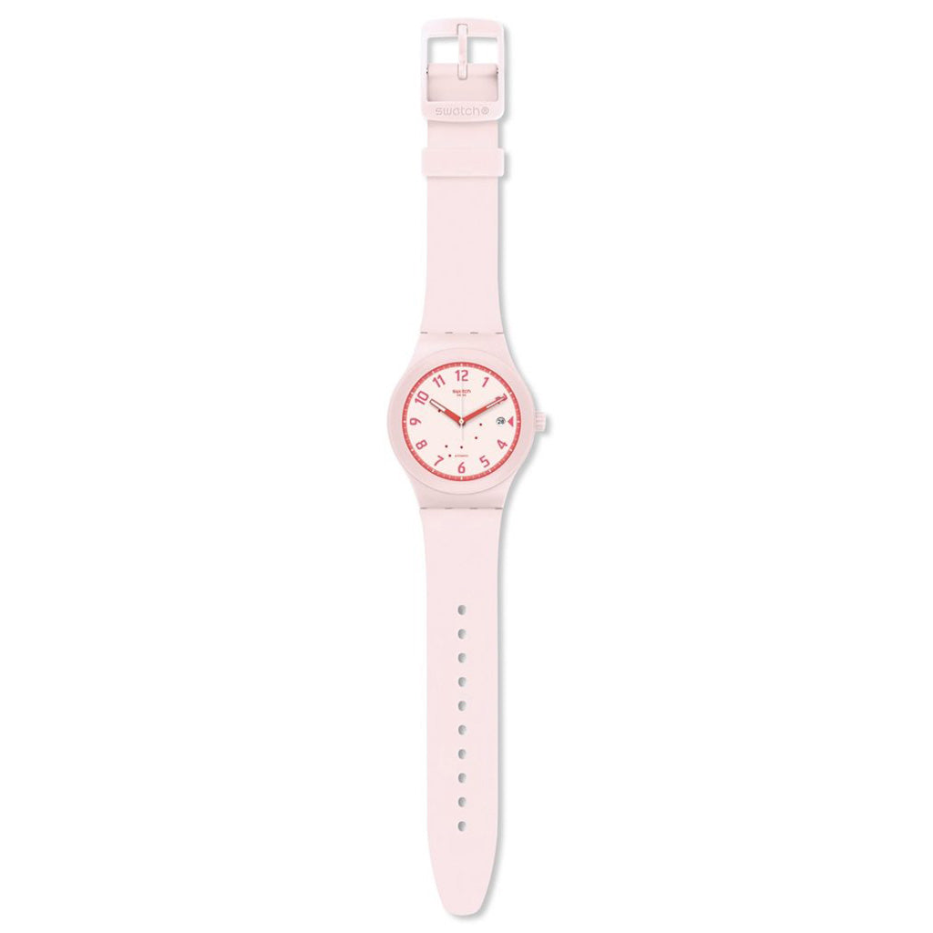 SISTEM BLUSH