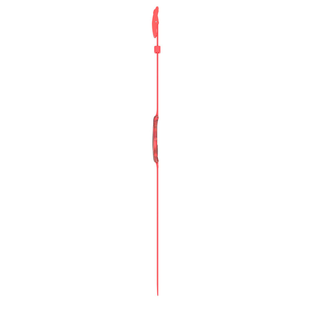 SWEET CORAL