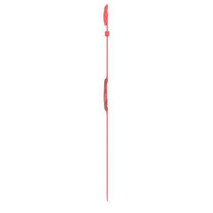 SWEET CORAL