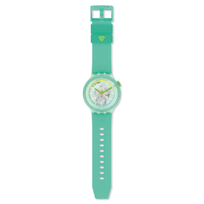 TURQUOISE PAY!