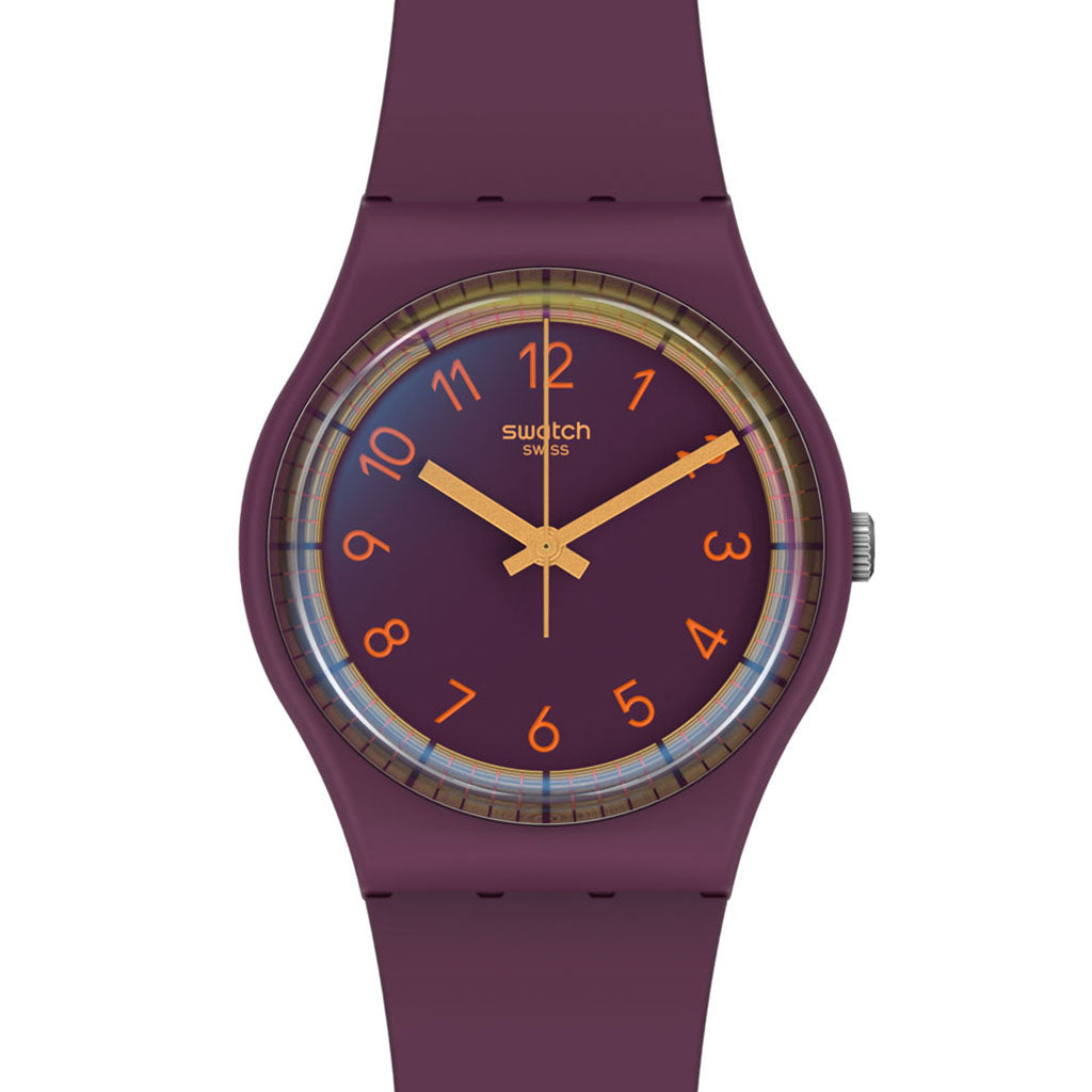 Swatch Gent Pay Winepay! SVHV100-5300