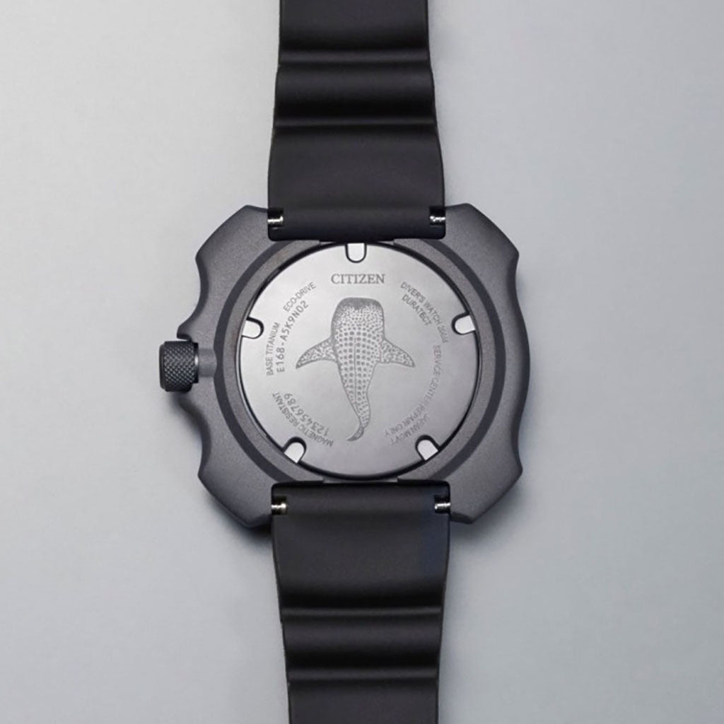 BN0225-04L - Limited Edition (Ausstellungsstück)