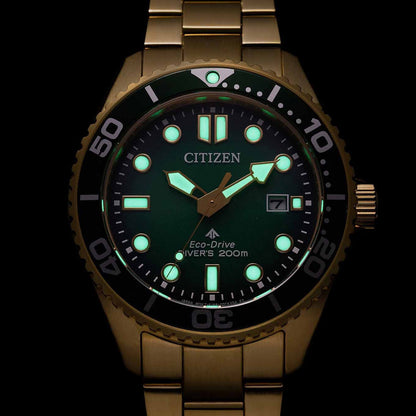 BN0262-59W