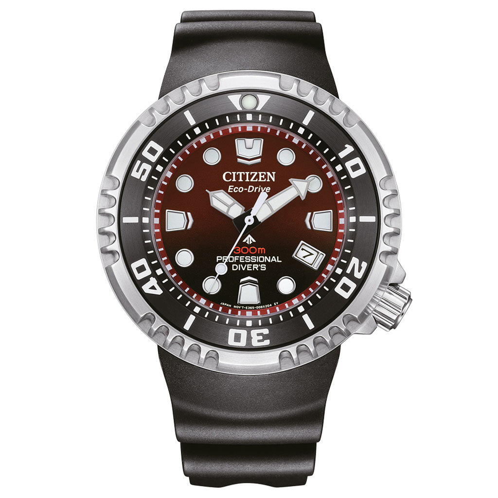 BN1024-01Z Professional Diver 300