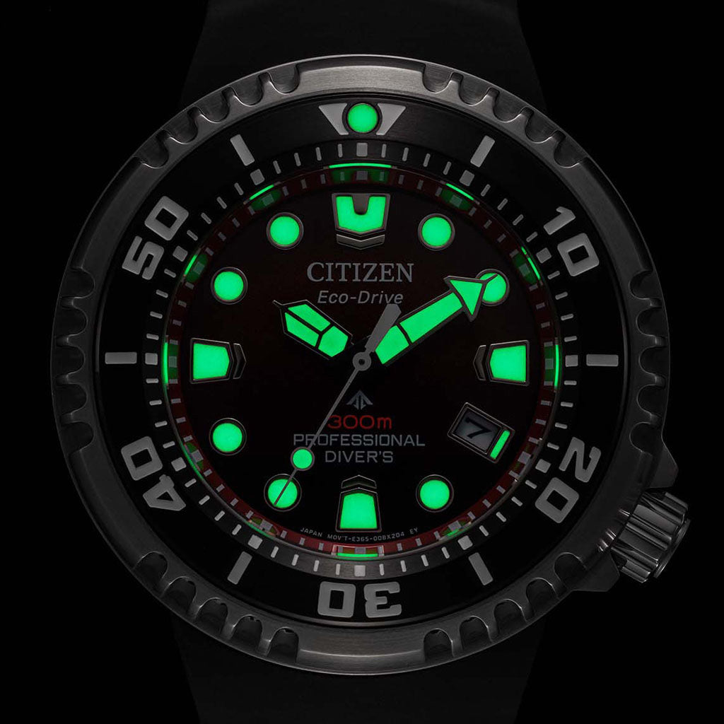 BN1024-01Z Professional Diver 300