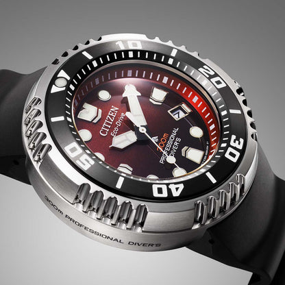 BN1024-01Z Professional Diver 300