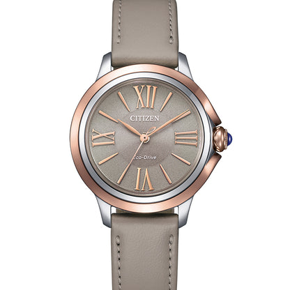 EM1166-01Z