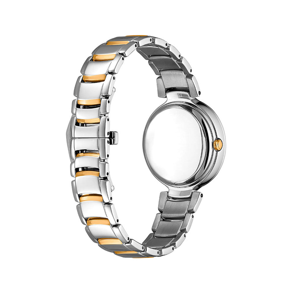 FD1106-81D