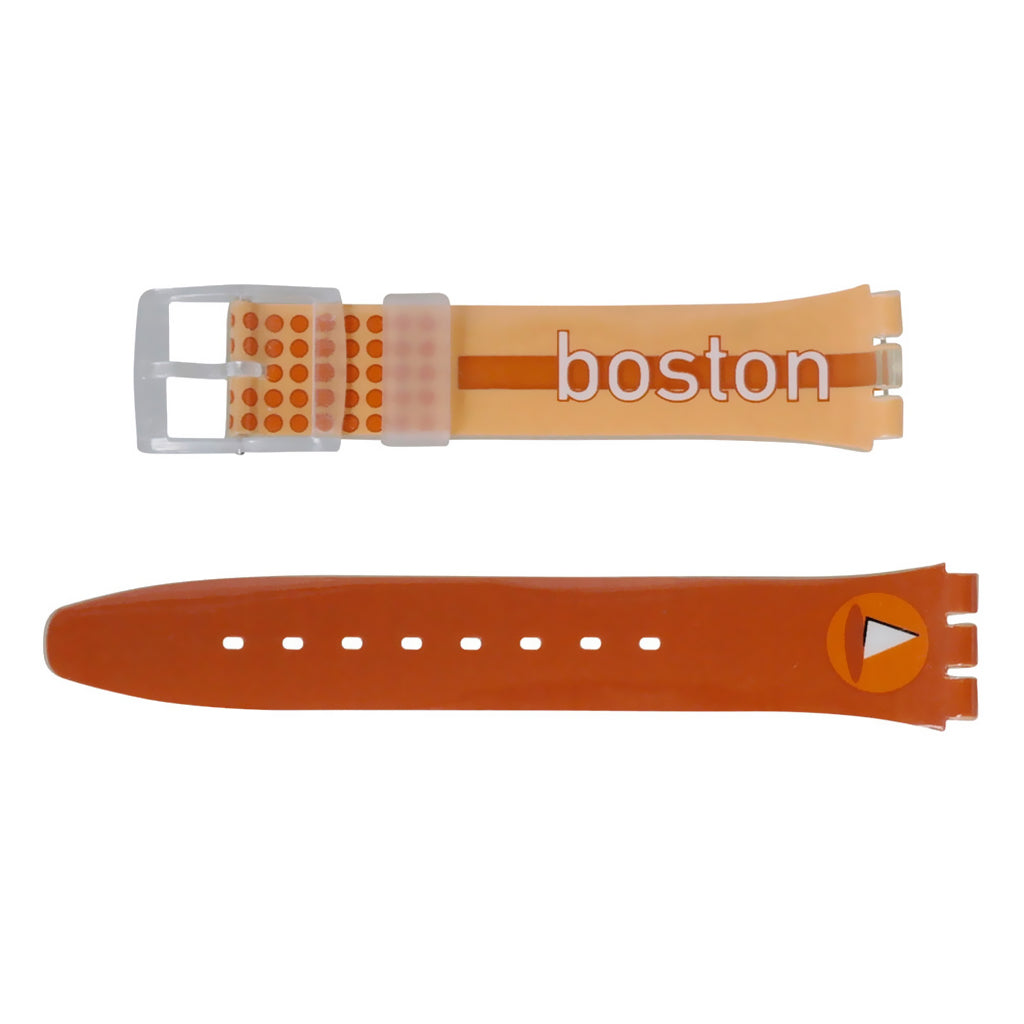 Swatch Destination Boston AGK209G