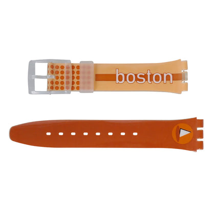 Swatch Destination Boston AGK209G