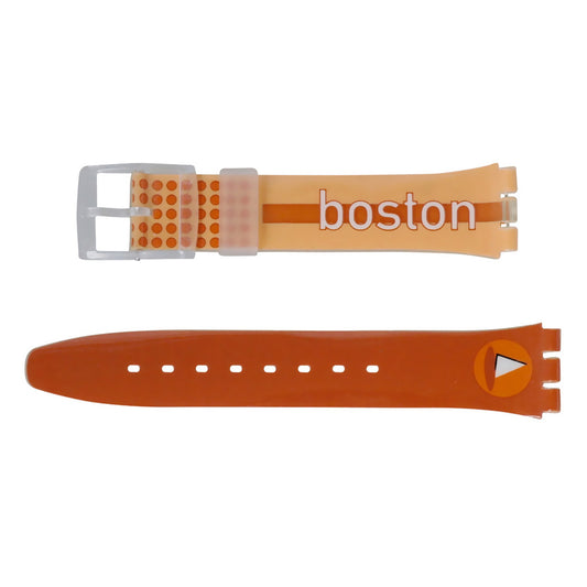 Swatch Destination Boston AGK209G