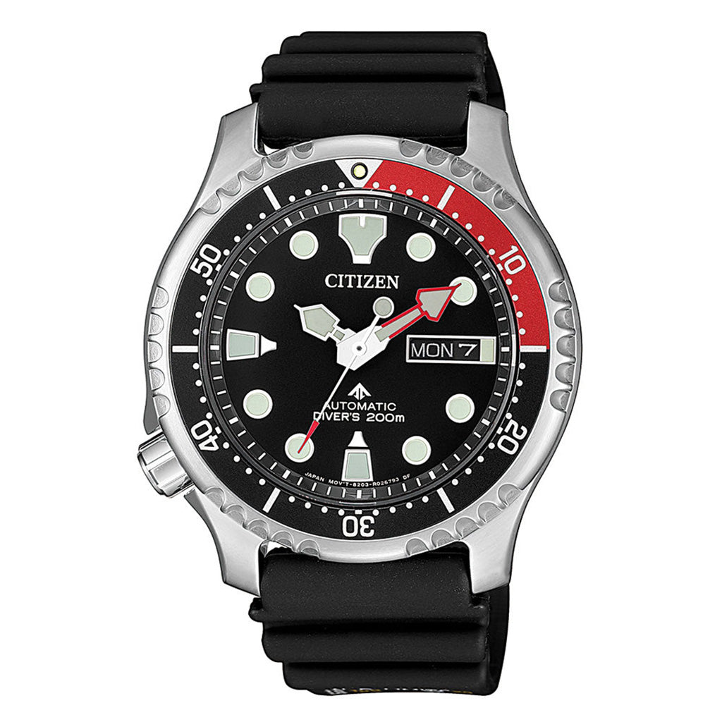 NY0087-13EE - Limited Edition