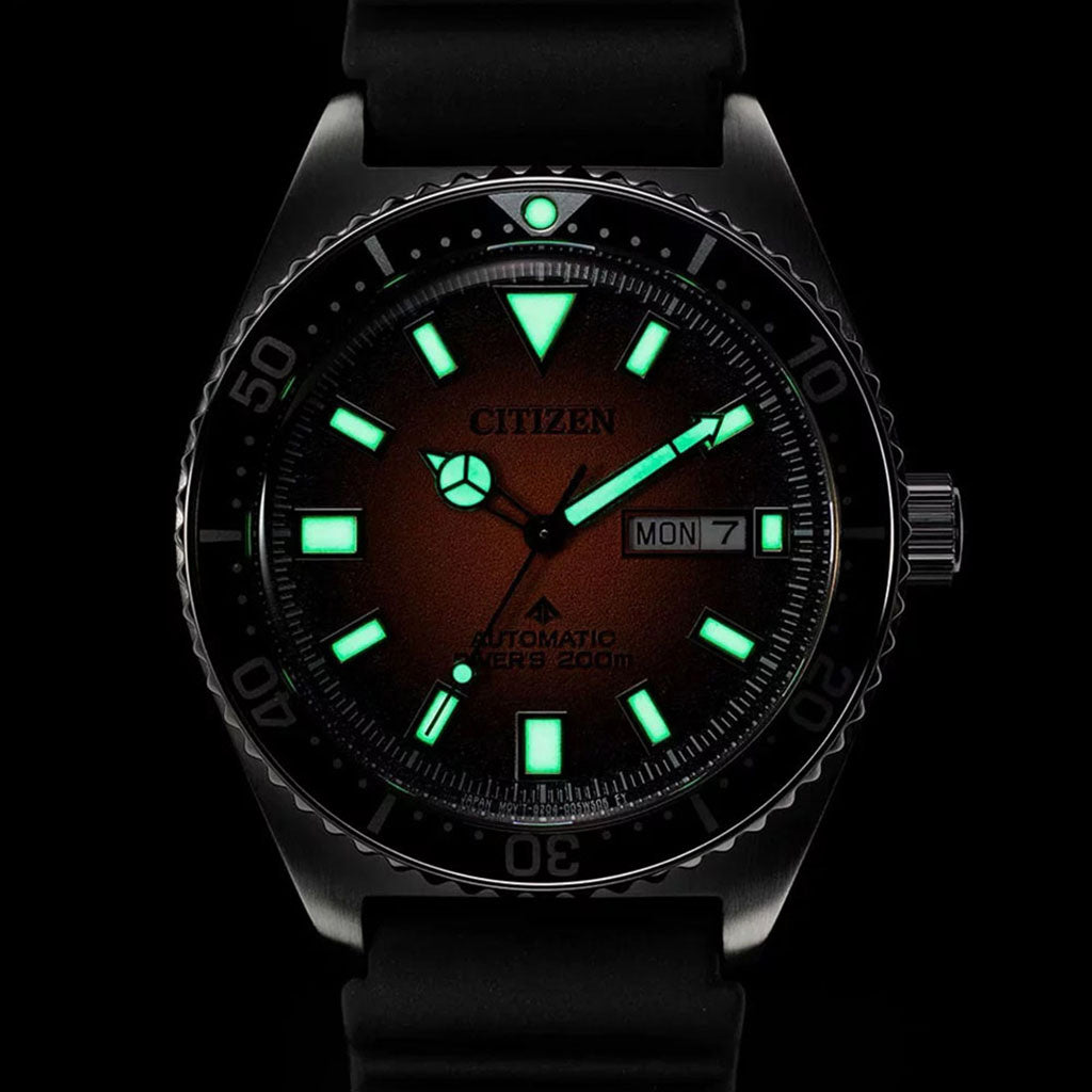 NY0120-01ZE