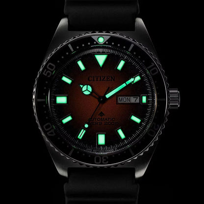 NY0120-01ZE