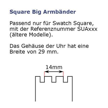 Swatch Ersatzband Funny Devil Leather Black ASUAB400D