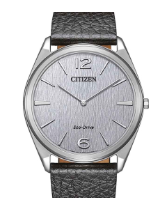 Citizen Elegant - Herrenuhren AR3120-16A